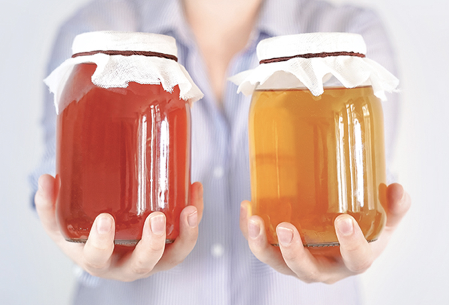 What is Kombucha?