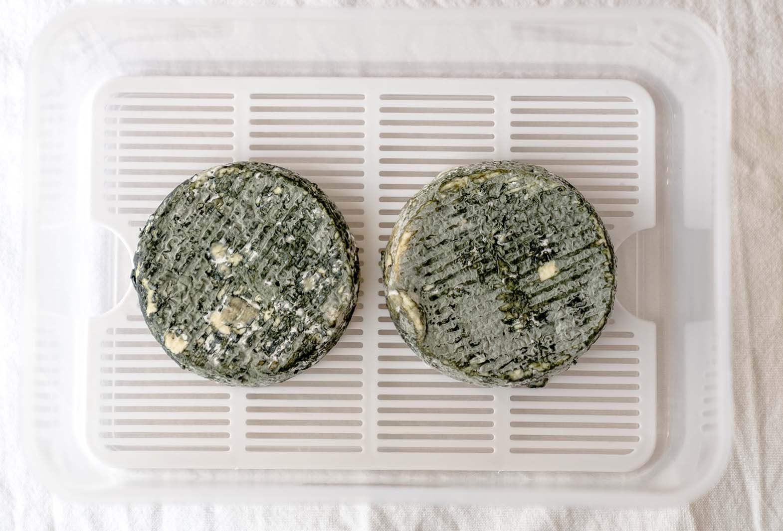Good and bad moulds/molds in cheese making